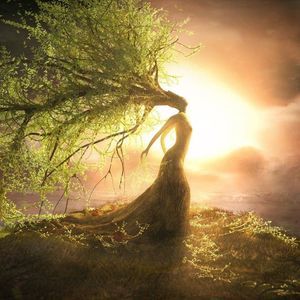 Meet your Posher, Isabel galmz -